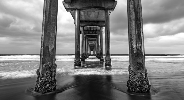 Scripps Pier in B&W  Print
